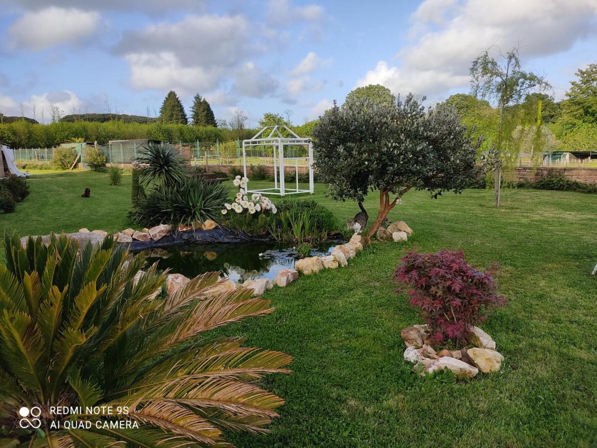 Turistico Dakota Homestay Manziana